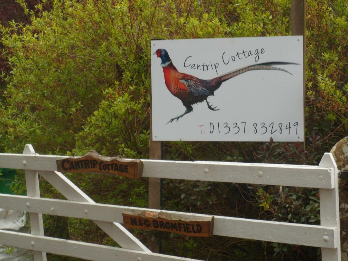 Cantrip Cottage Cupar Exteriér fotografie